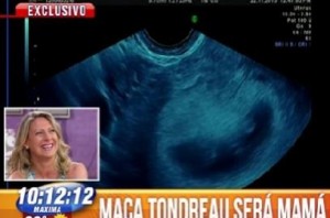 Macarena Tondreau