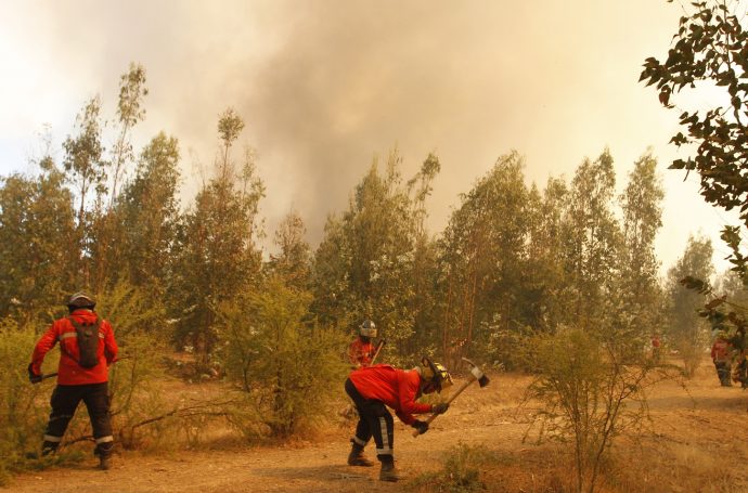 24 de enero de 2017/LOLOL El humorista, Paul Vasquez "El flaco" junto a sus compañeros de la compañía de bomberos de San Bernardo, llegaron hasta el sector de Lolol para ayudar en el combate de los incendios forestales en la zona FOTO;RODRIGO SAENZ/AGENCIAUNO