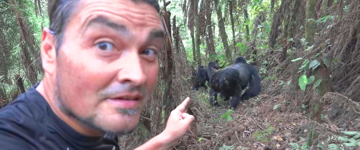 Luis Andaur fue atacado por un gorila en África