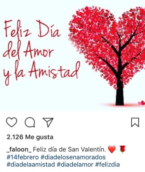 faloon instagram