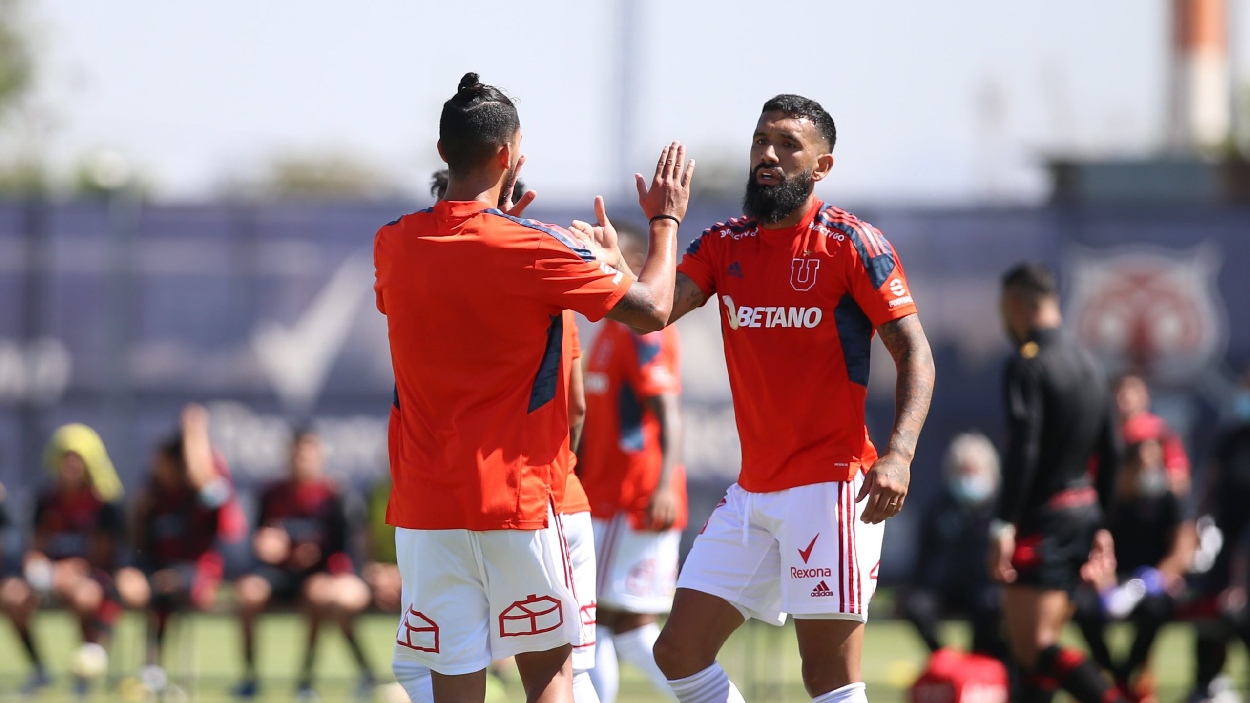 U. De Chile vs Ñublense: Ver Partido en Vivo y Online