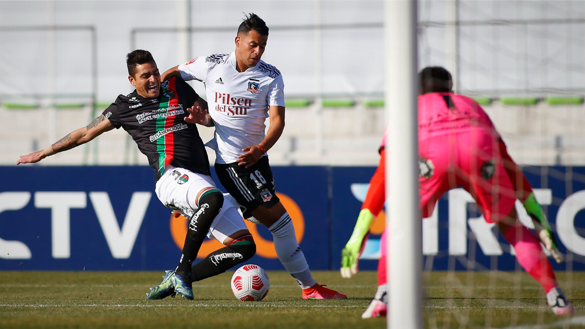 Colo Colo vs Palestino: Ver Partido en Vivo y Online por Copa Chile