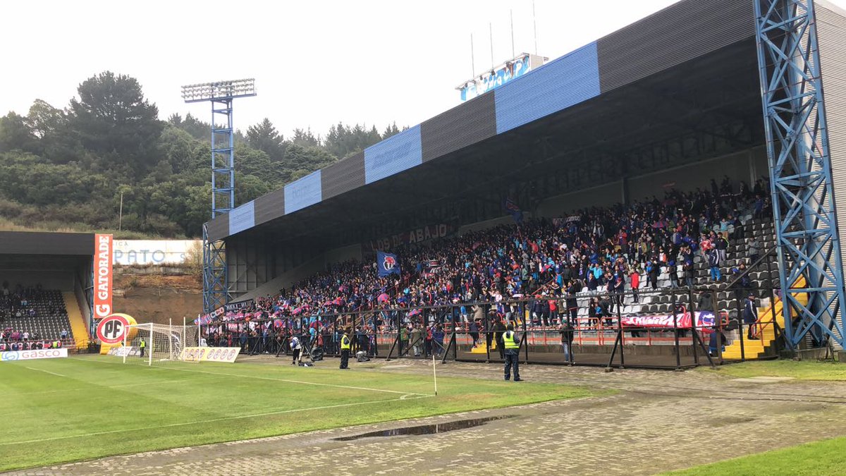 Ratones muertos y fecas: Denuncian impresentable estado del Estadio CAP