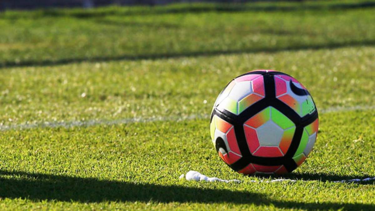 Revelan fecha tentativa en la que regresaría el Campeonato nacional