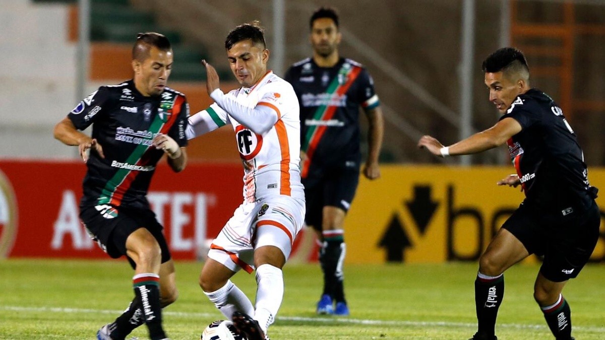 Palestino v/s Cobresal: Ver Partido en Vivo por Copa Sudamericana
