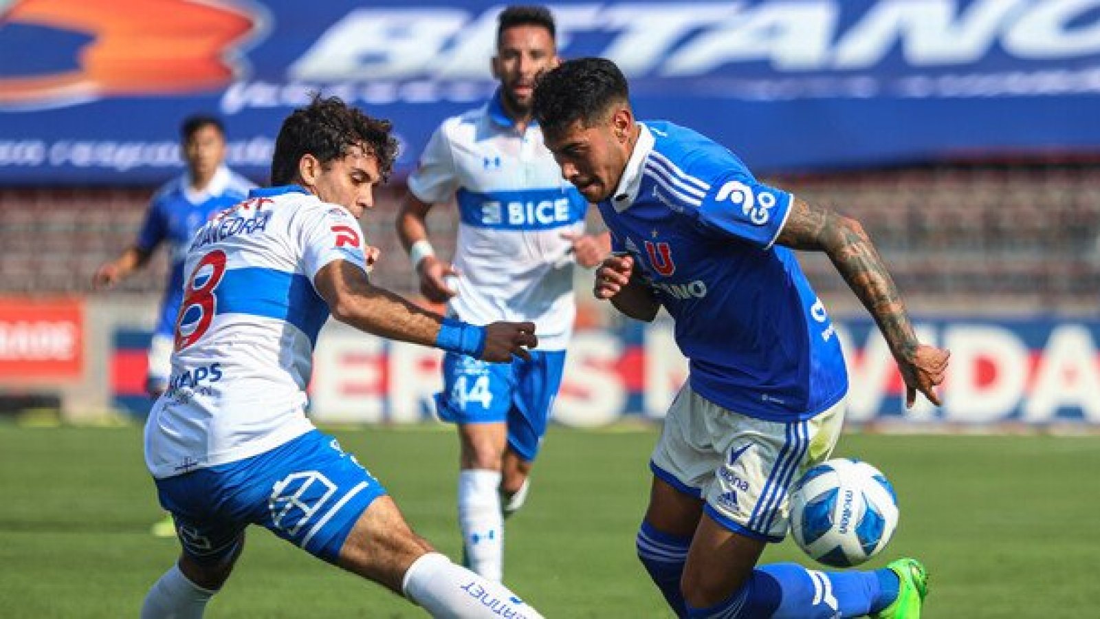Hasta junio: La fecha en la que podría reanudarse el Clásico Universitario