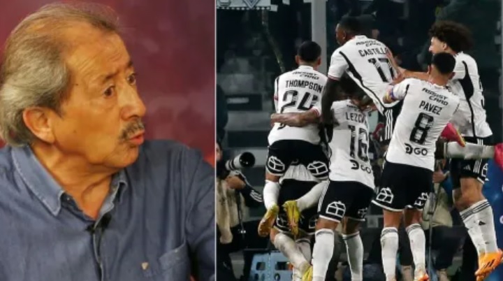 pollo velz colocolo