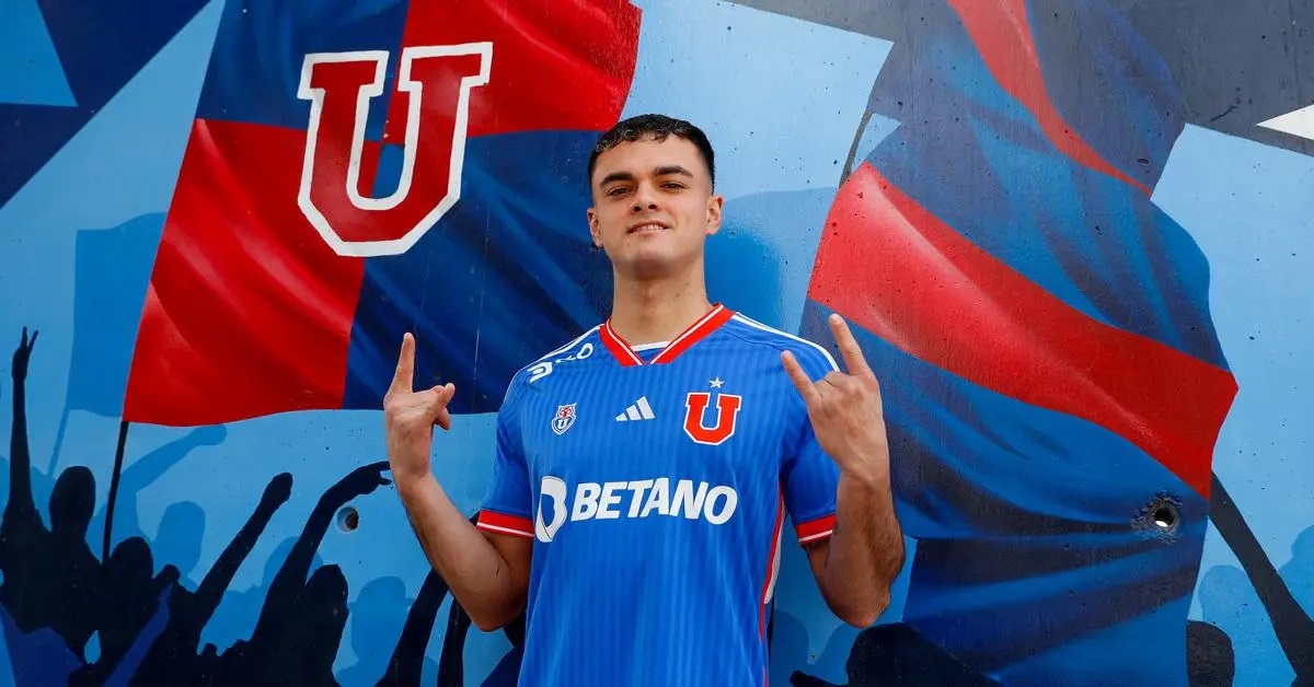 vicente fernandez udechile