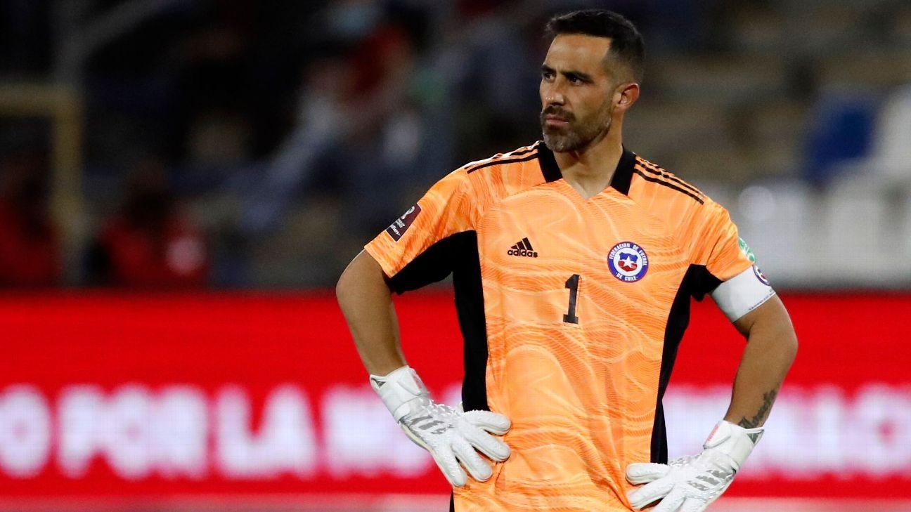 bravo la roja