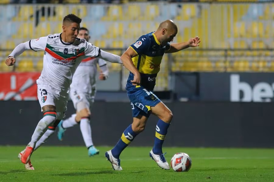 palestino vs everton