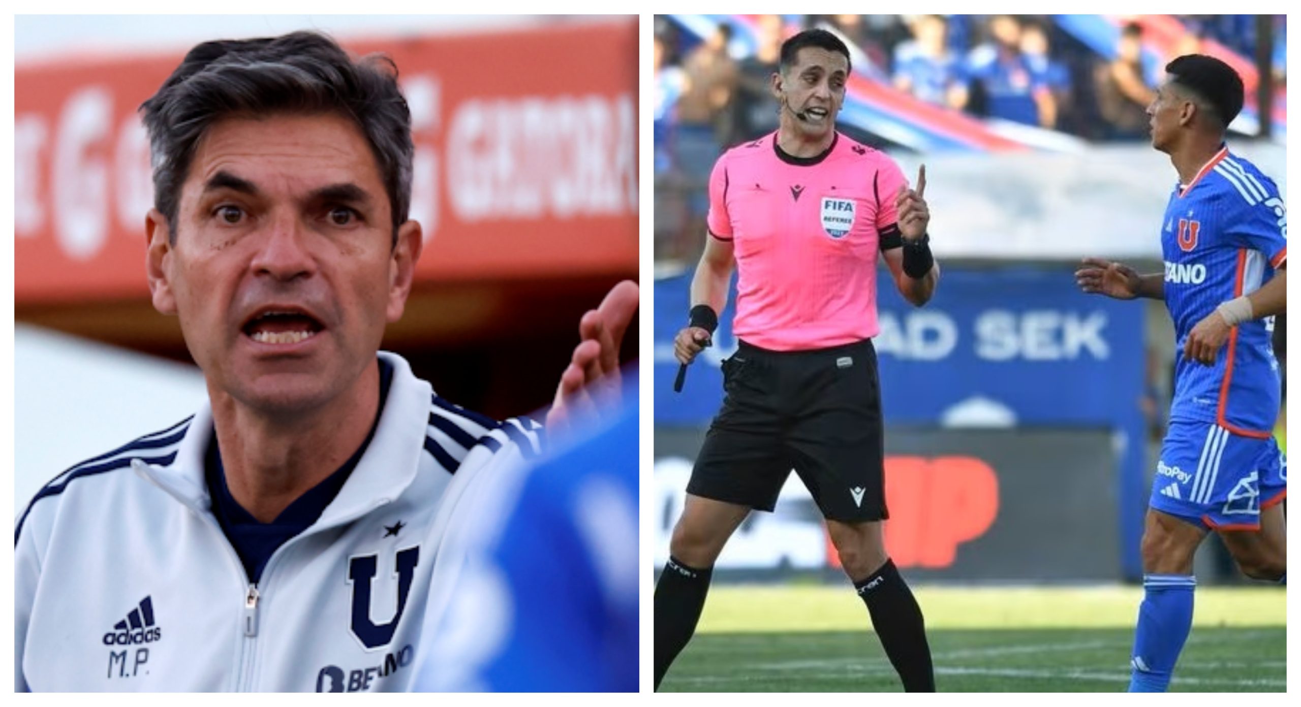 pellegrino critica a vergara