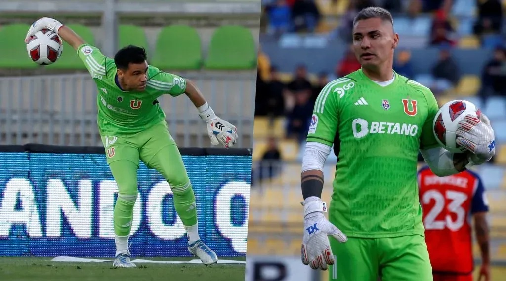 toselli y campos udechile