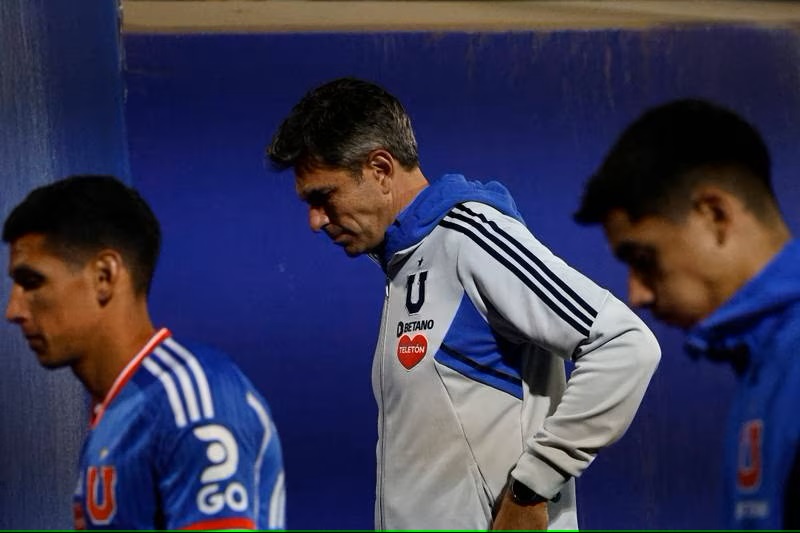 udechile