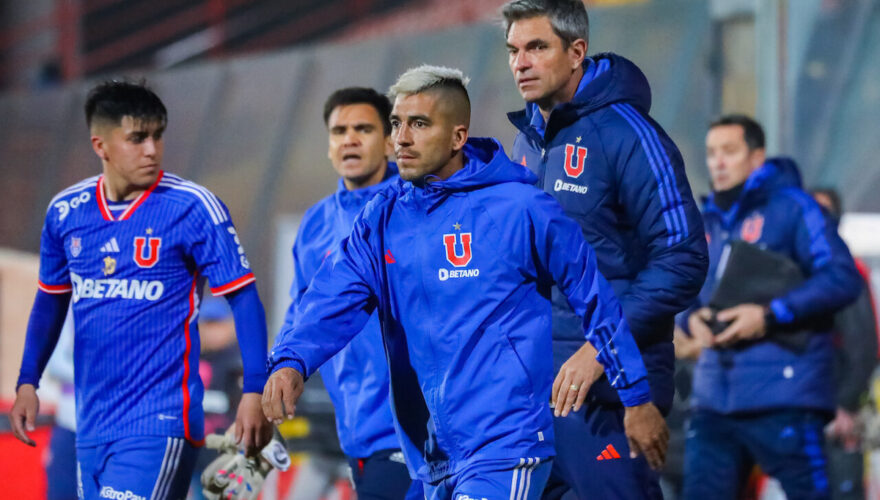 udechile