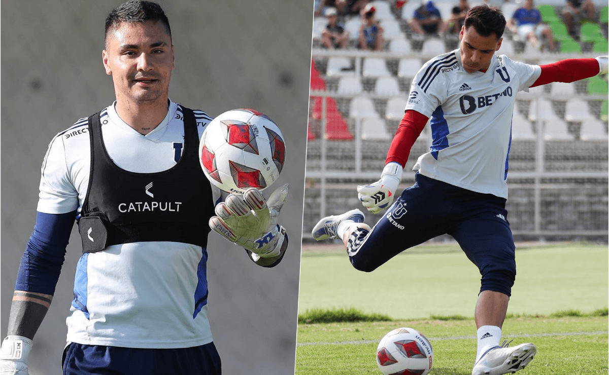 toselli y campos udechile
