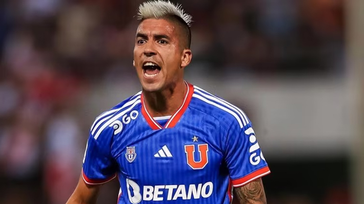 leandro fernandez udechile