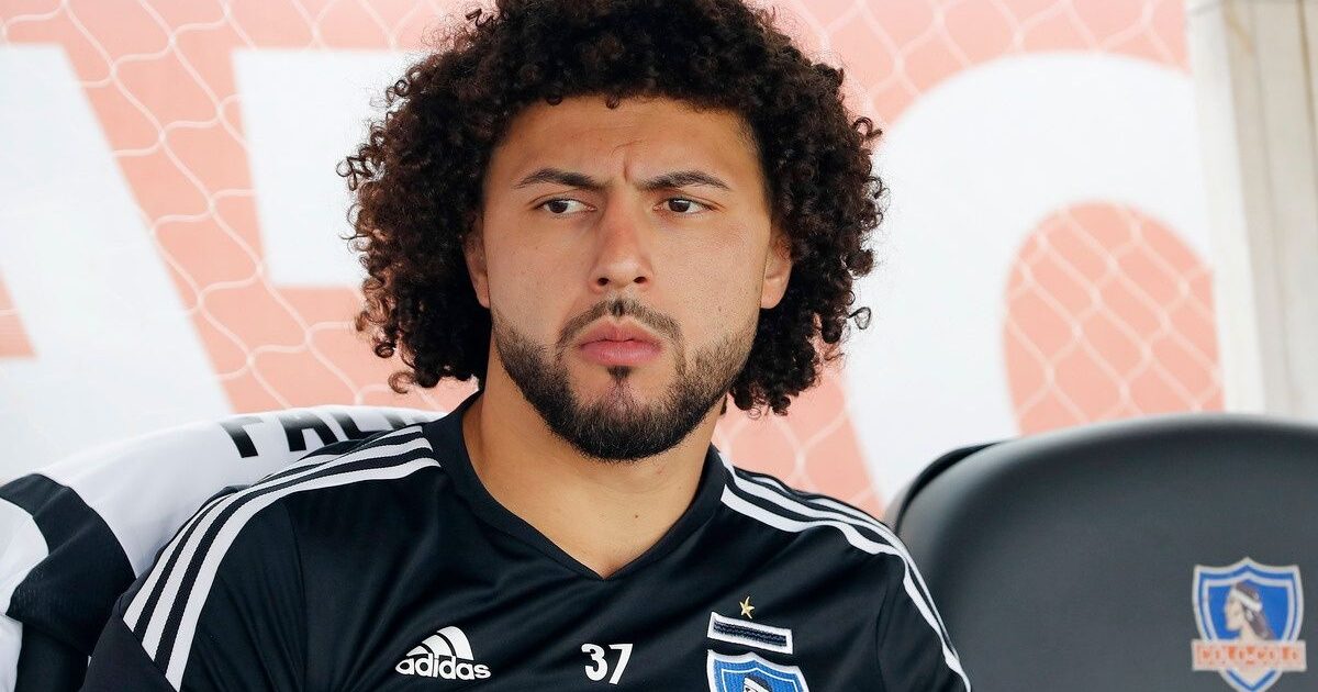 maximiliano falcon