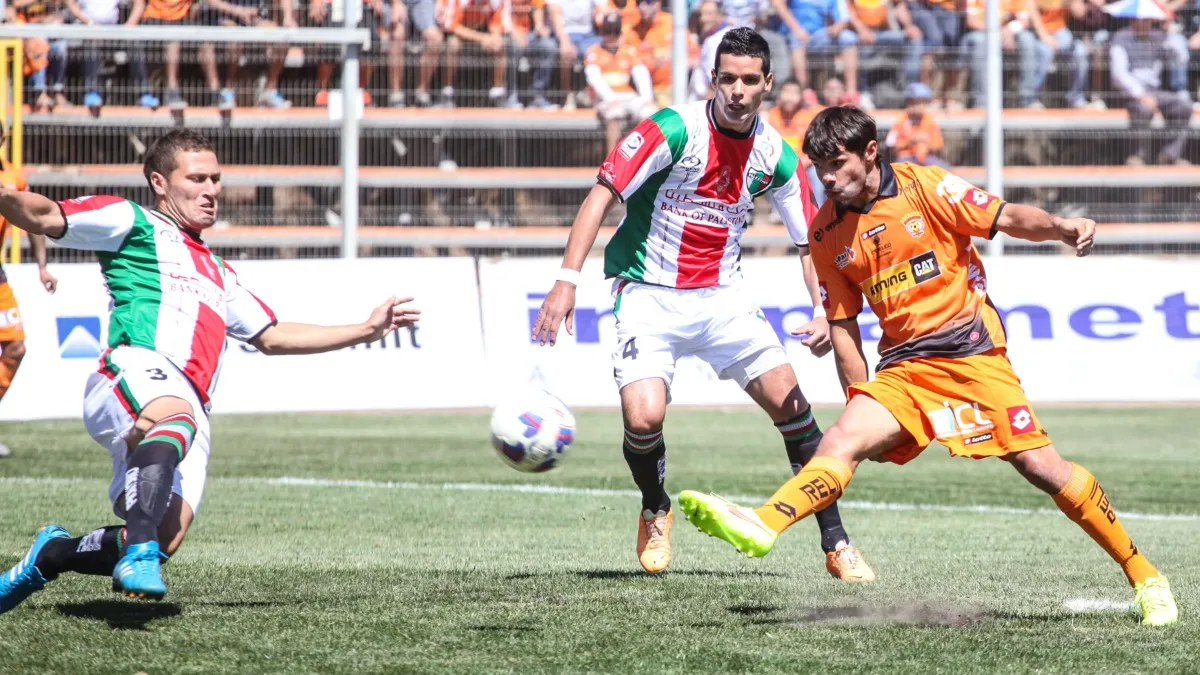 Palestino vs. Cobreloa: cuándo y dónde ver el partido por el Torneo Chileno