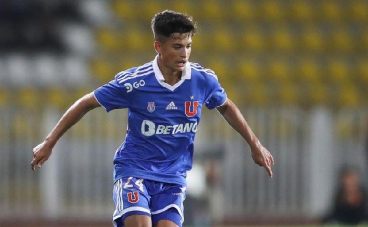 renato huerta udechile