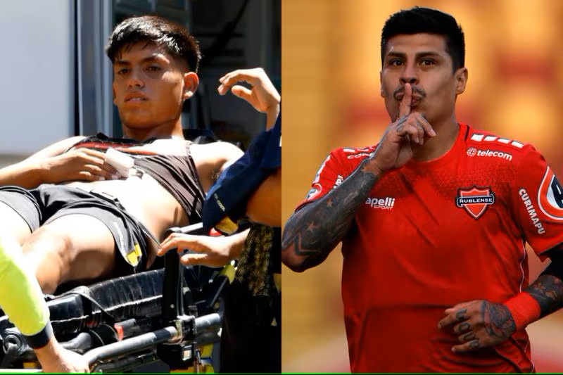 pato rubio contra falcon