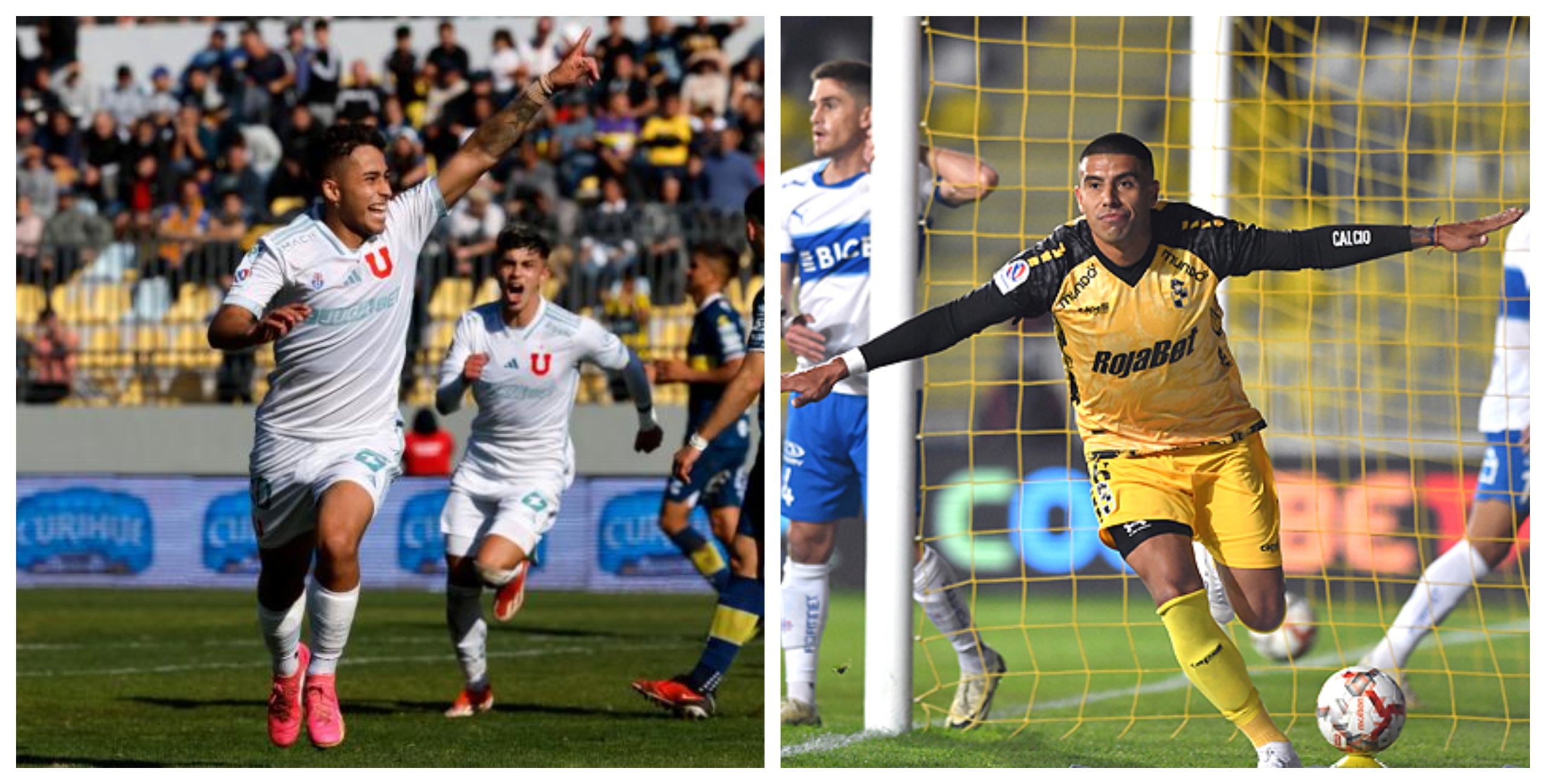 udechile y coquimbo