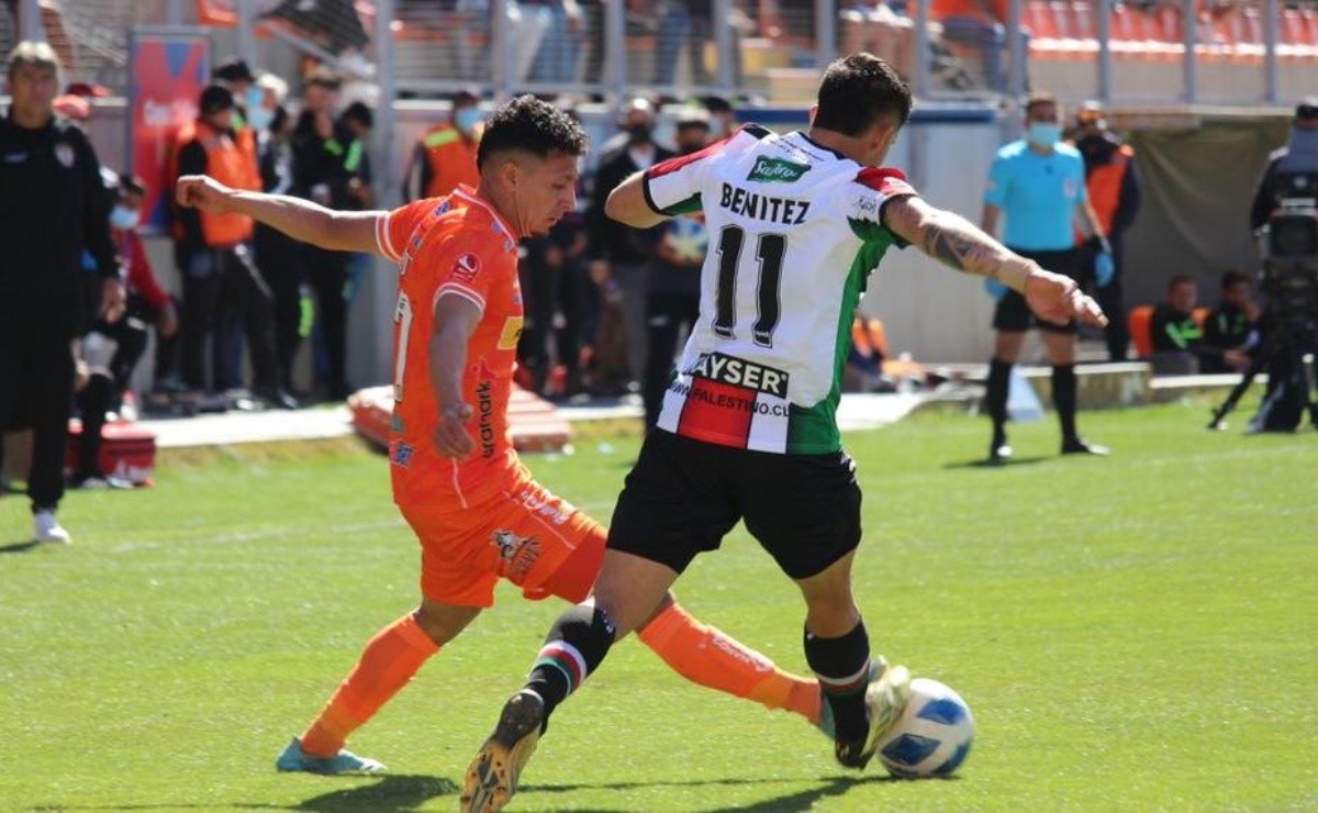 cobreloa vs palestino