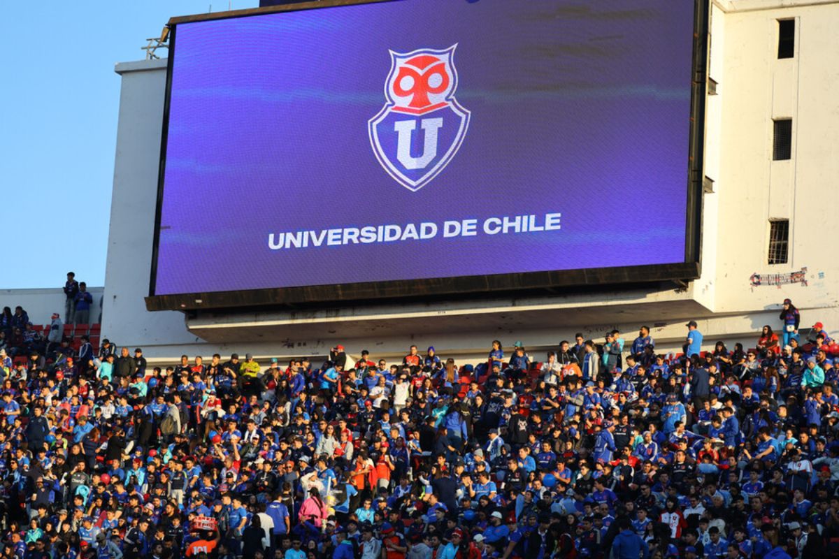 hinchas udechile