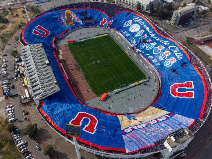 bandera ggante udechile