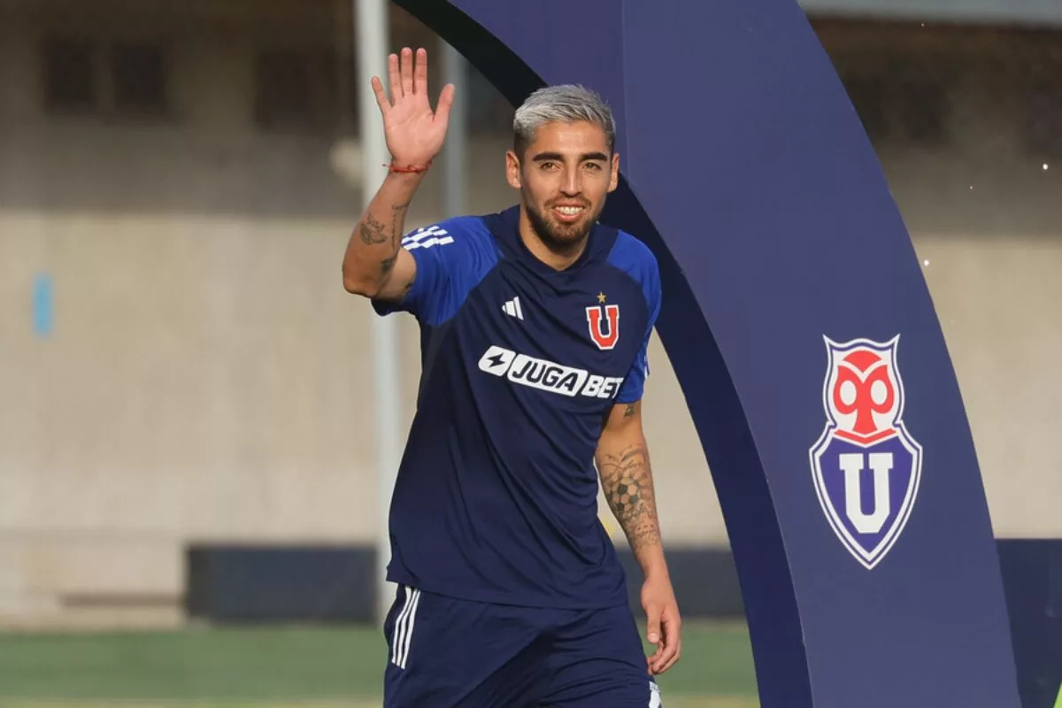 gabriel castelon udechile