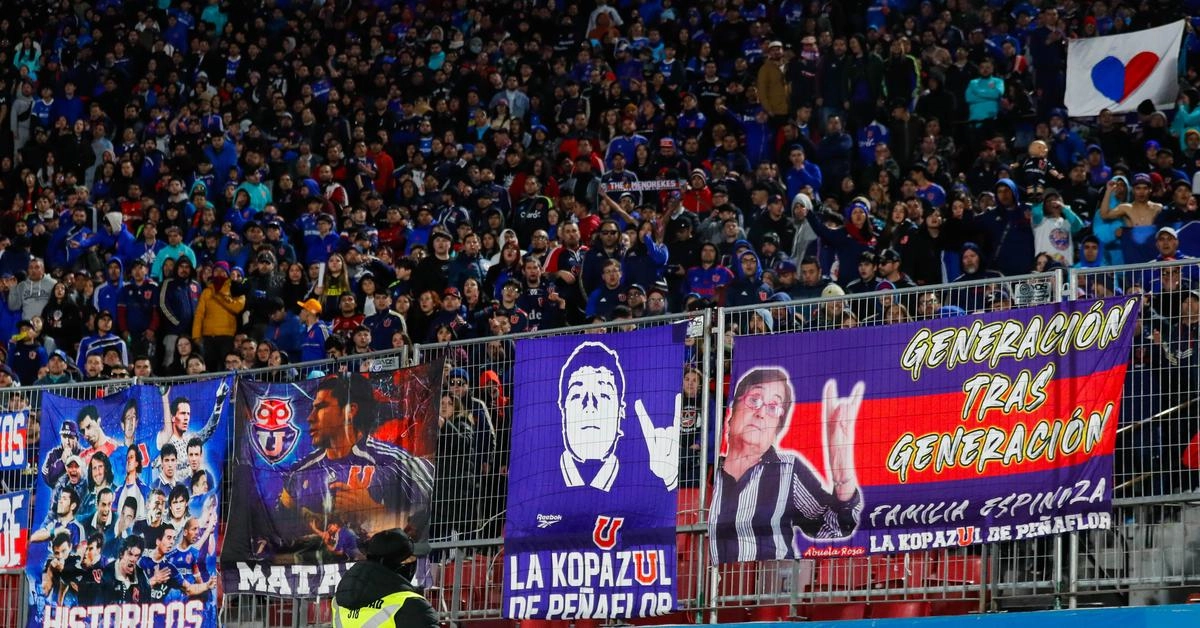 hinchas udechile