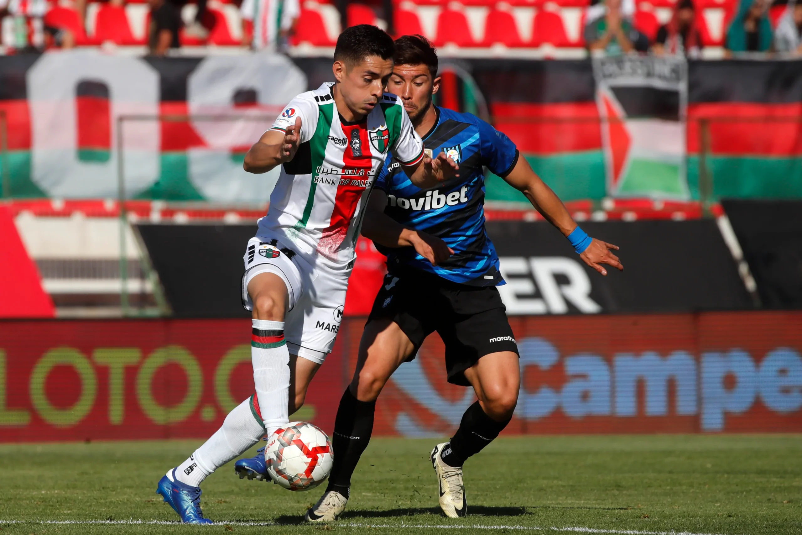 palestino vs hachipato
