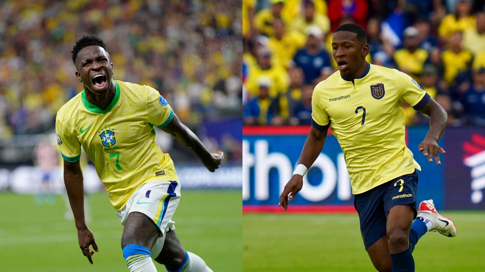 brasil vs ecuador