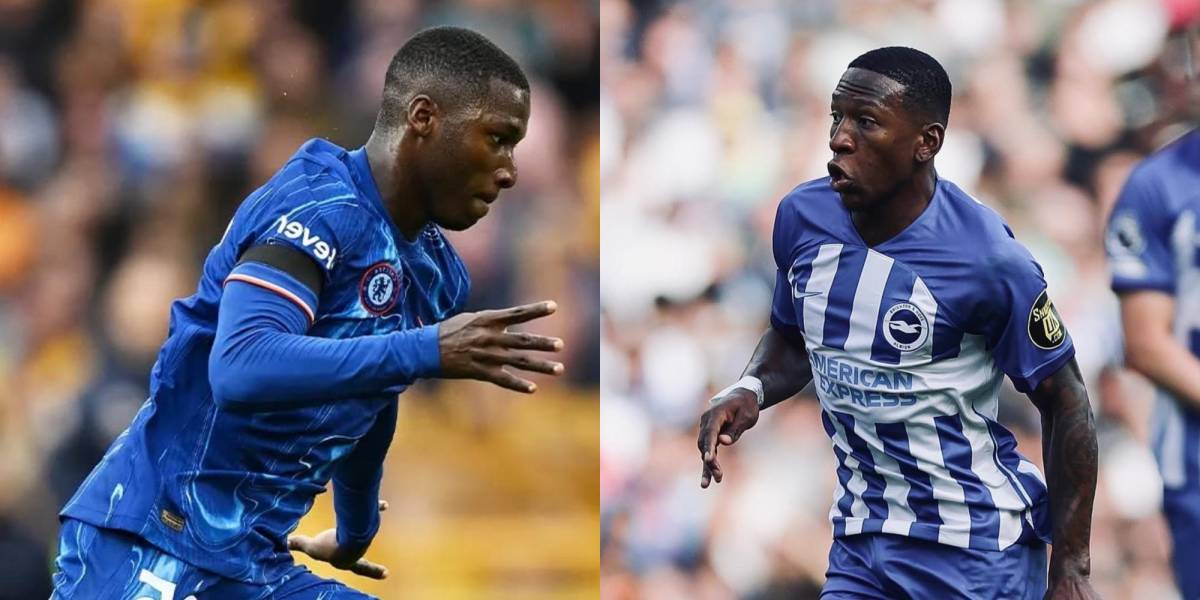 brighton vs chelsea