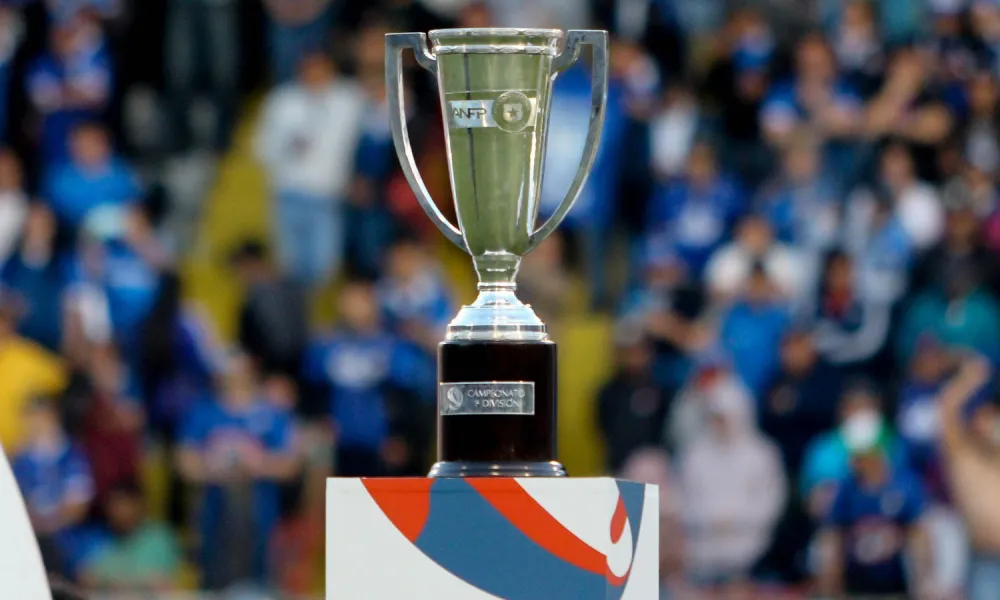 copa campeonato 24