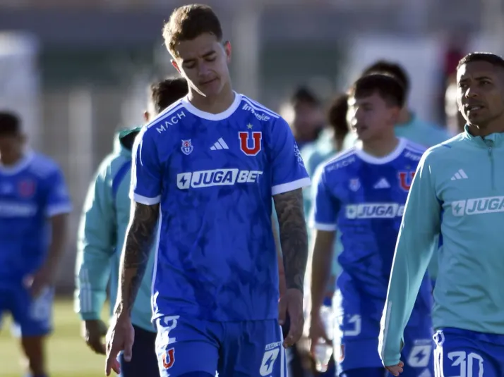 udechile