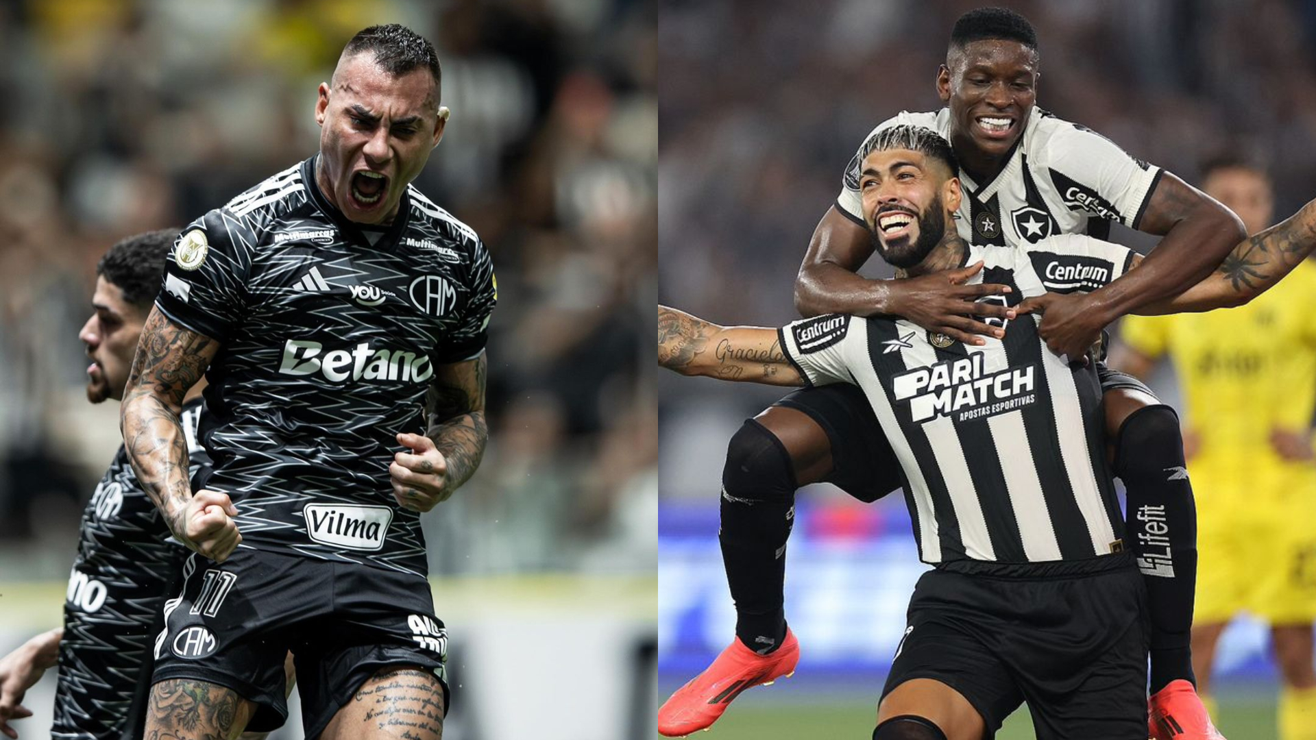mineiro vs botafogo