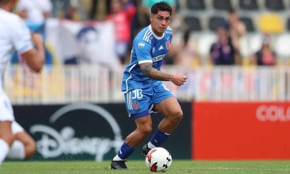 gonzalo montes udechile