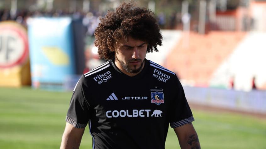 maxi falcon