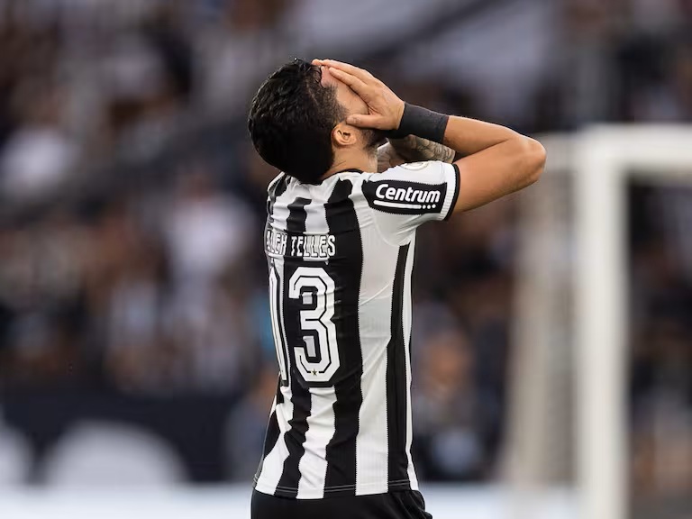 botafogo copa libertadores