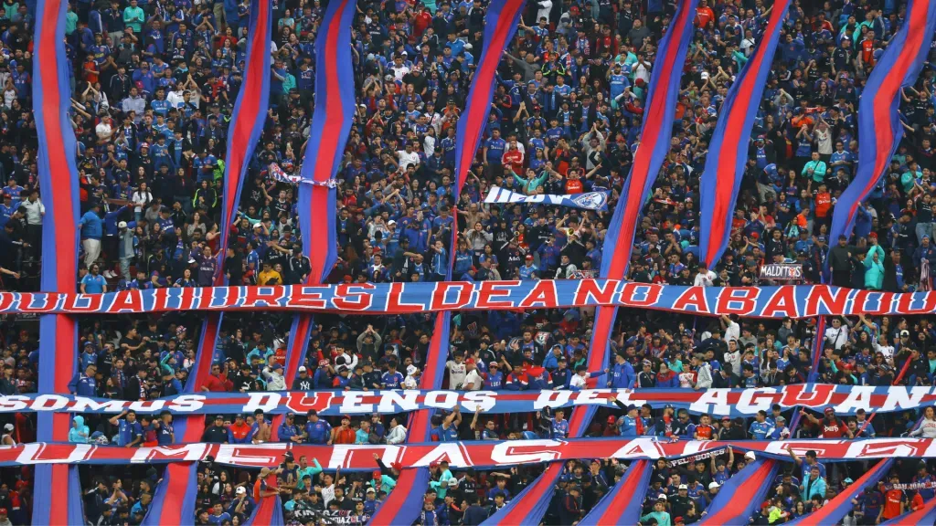hinchada de la u