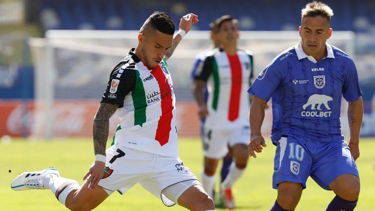 palestino vs concepcion