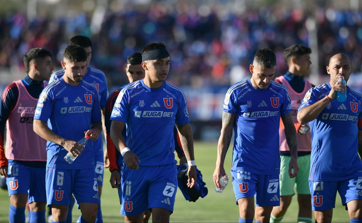 udechile