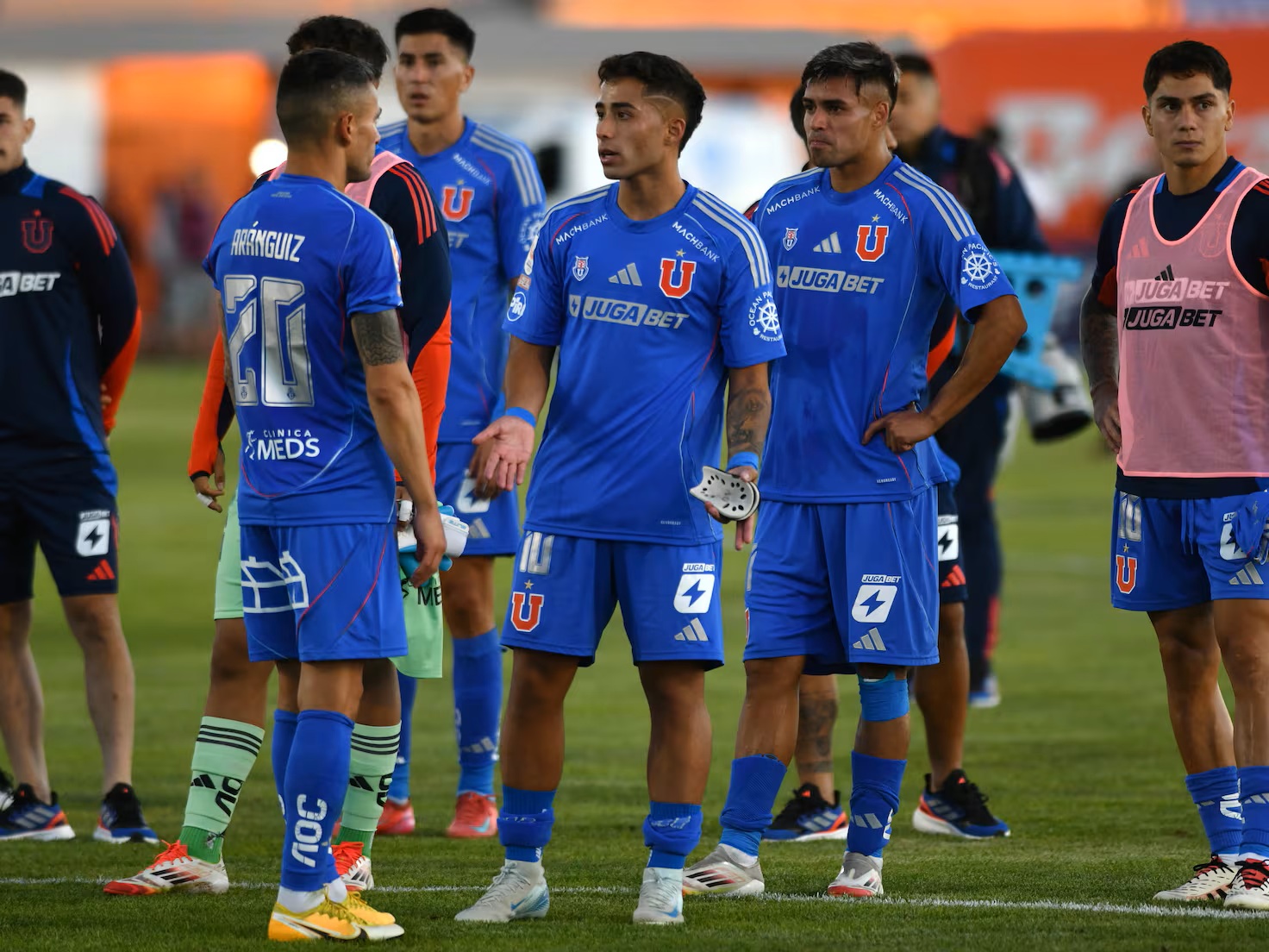 udechile