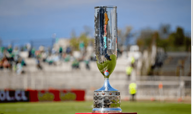 copa chile 25