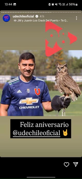 mje david pizarro