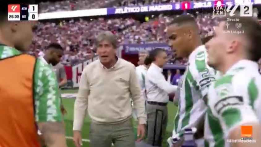 pellegrini real betis perdio la paciencia
