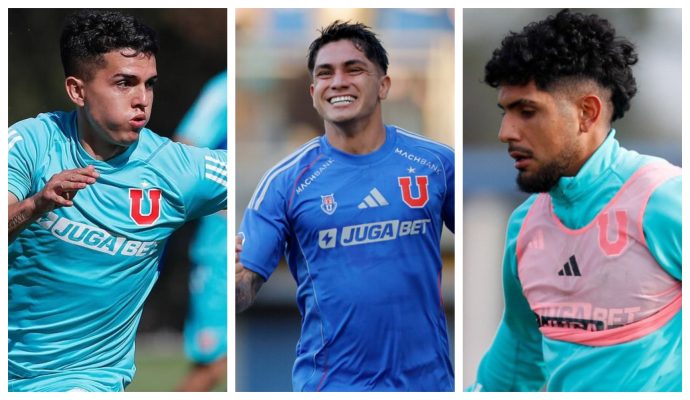 alfaro montes diaz udechile