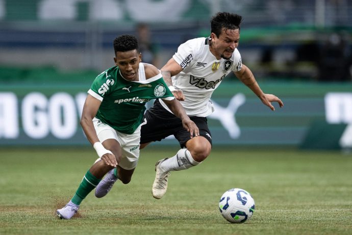 botafogo vs palmeiras