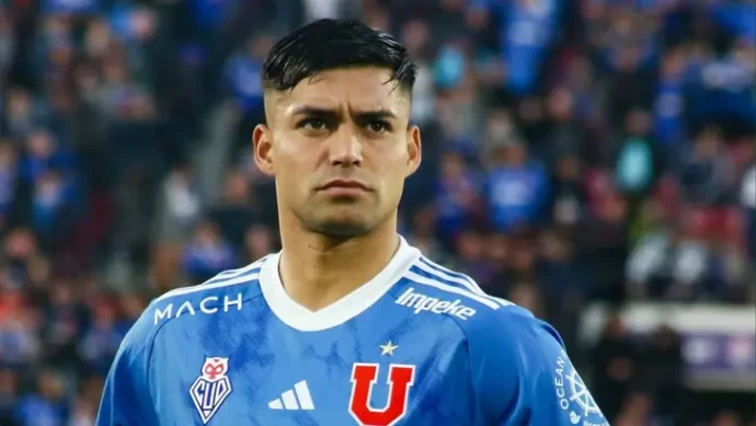 fabian hormazabal udechile