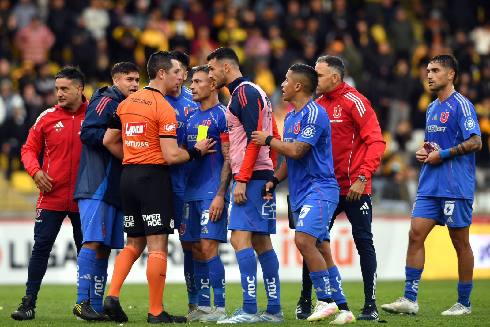 jugadores udechile